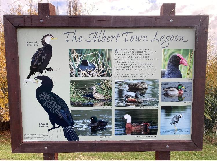 דירות Albert Town Relaxing Getaway מראה חיצוני תמונה